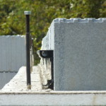 DSCF1102