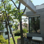 DSCF1110